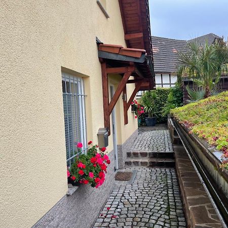 Ferienwohnung Muhlberg Seifersdorf  Экстерьер фото